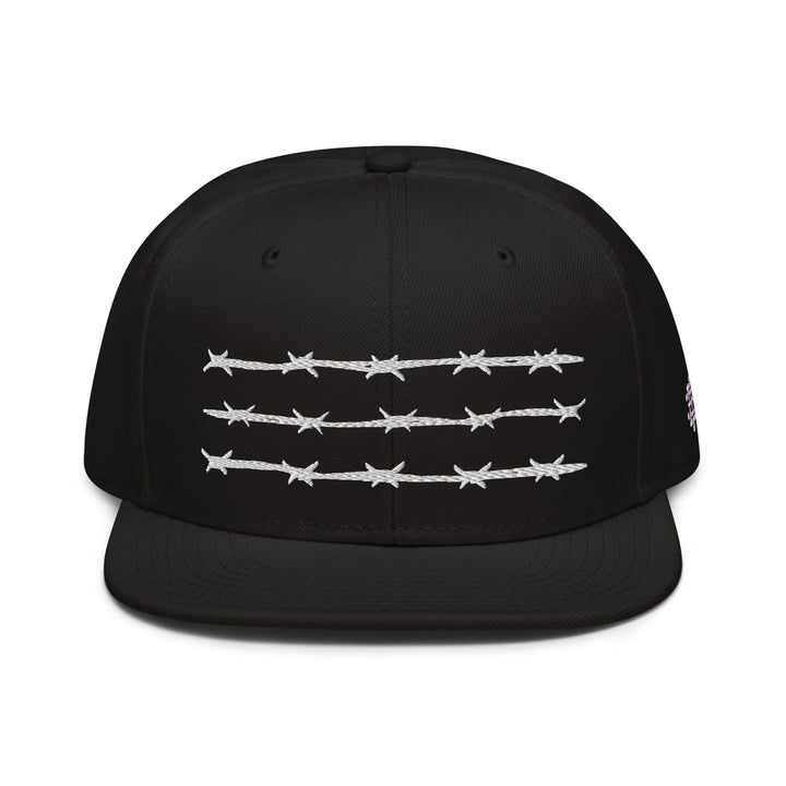 Hat - Snapback: D13 - Barbed