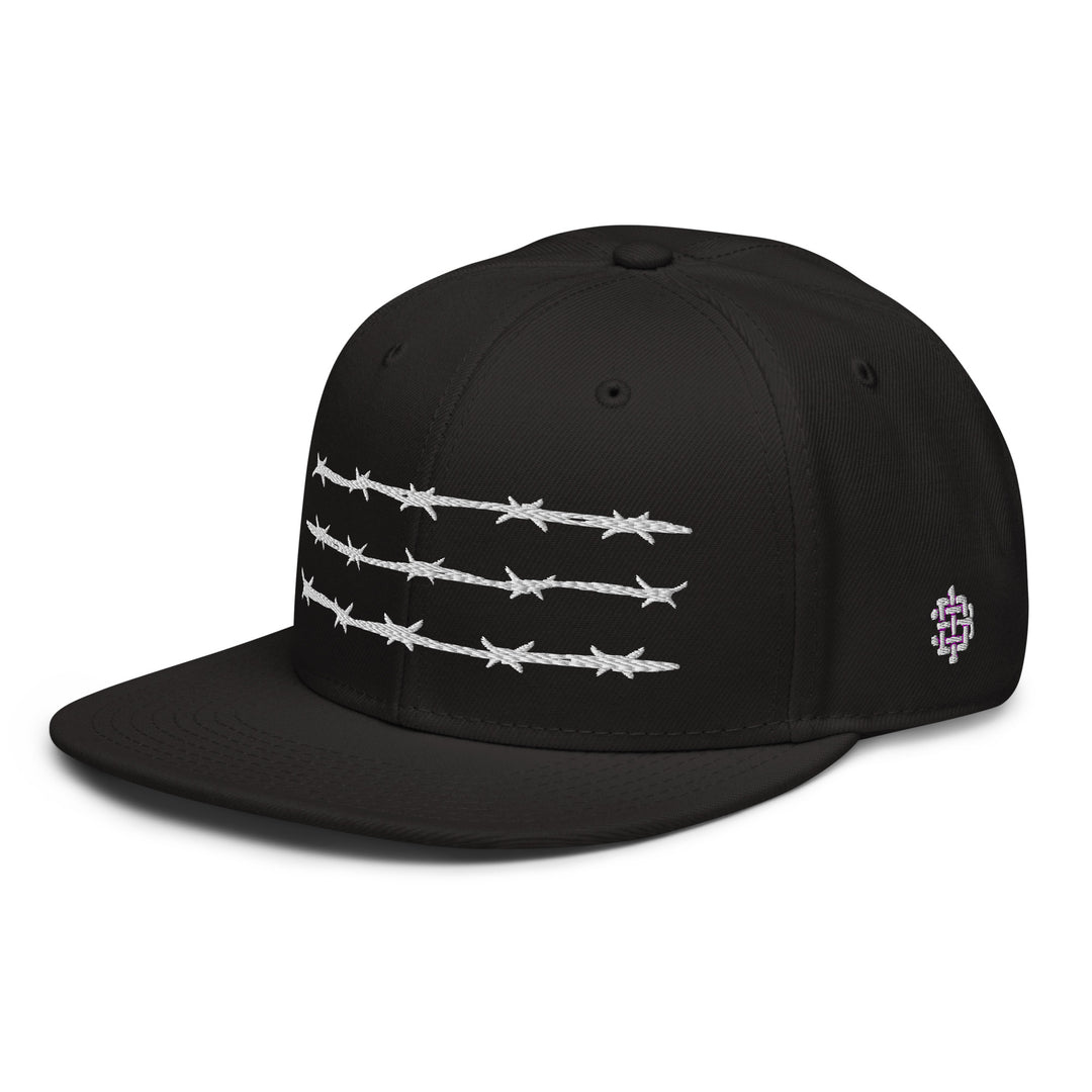 Hat - Snapback: D13 - Barbed